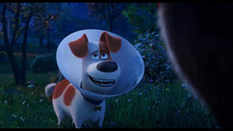 The Secret Life of Pets 2 HD Download - Read and Share