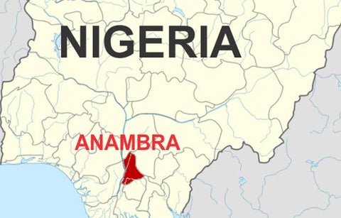 Anambra Father's Raped Their Daughters More During This Lockdown