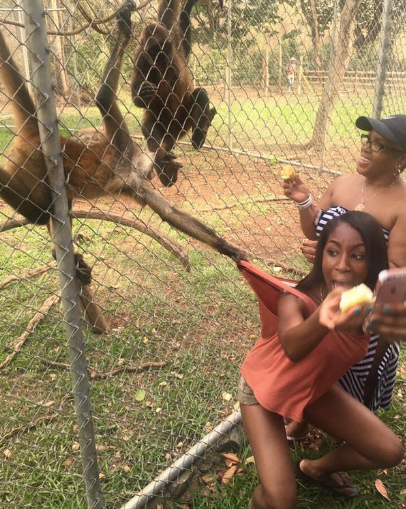 Selfie with a Monkey gone wrong