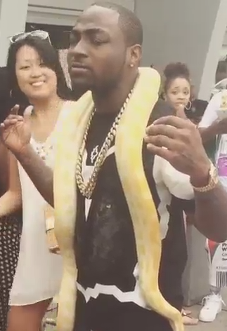 See Davido scared to death as a Python awakens on his body.