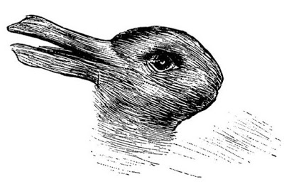 What do you see? A Rabbit or Duck?