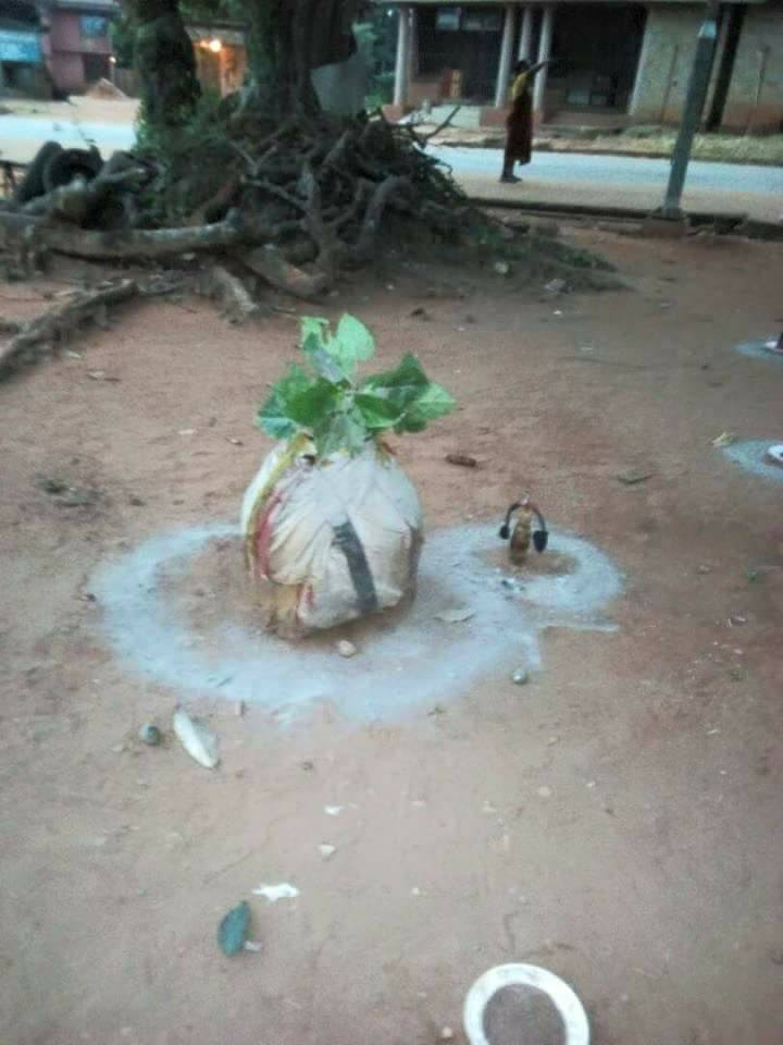 #AnambraDecides2017: Voters flee as spiritual charm was discovered at the entrance