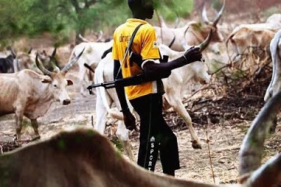 Enugu Protests Over Herdsmen Attack