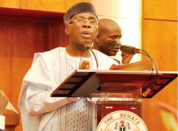 Nigeria not threatened by armyworm outbreak - Ogbeh