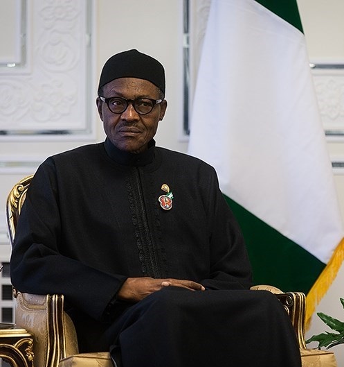Buhari Doing Fine, Not On Life Support  -  Nigerians Living Abroad Slam Fayose