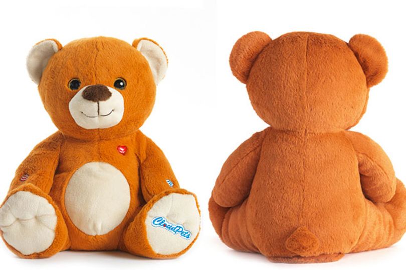 A Teddy Bear hacked to spy on kids by an Eleven-year-old Kid