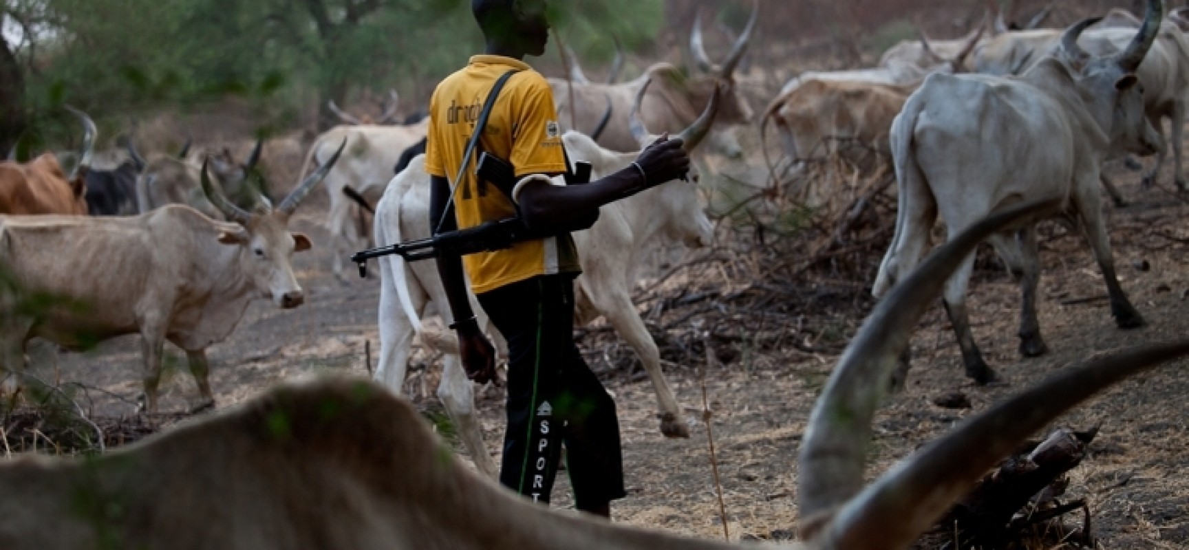 Herdsmen attacks: Be prepared for war  -  CAN tells Nigerian government