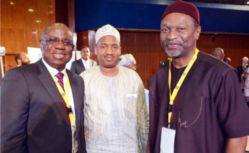 Nigerian statistical Association To Go Chartered