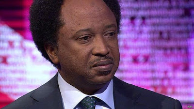 Shehu Sani comes for those calling for sale of National Assets