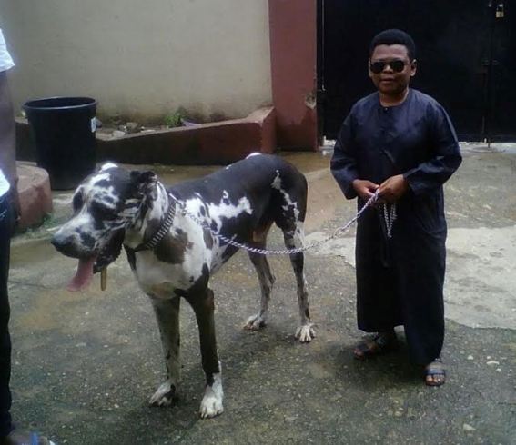 Osita Iheme and his dog get bashed online