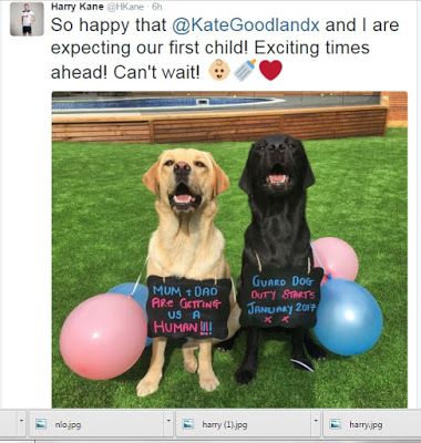 Tottenham Striker Harry Kane and Girlfriend makes an announcement with dogs