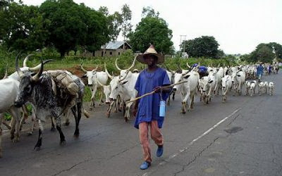 Ranches to be setup to avoid clashes with Fulani Herdsmen
