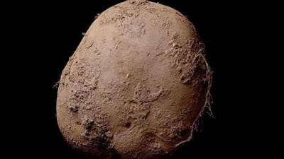 See why this photo of a potato was sold for  1 Million Euros
