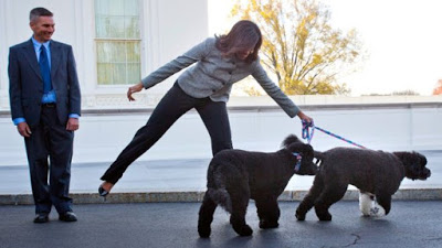 Man breaks into White House trying to steal Obama's dog