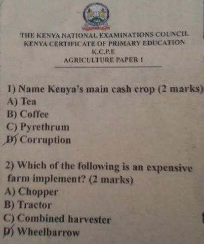 Funny Kenya - See Exam Questions