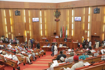 Nigerian Senators - No to N5k a month for unemployed youths