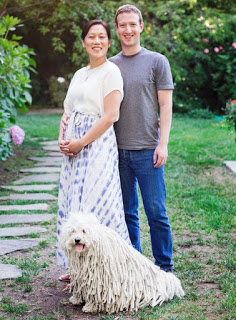 Mark Zuckerberg and Priscilla Chan are going to be parents after 3 Miscarriages