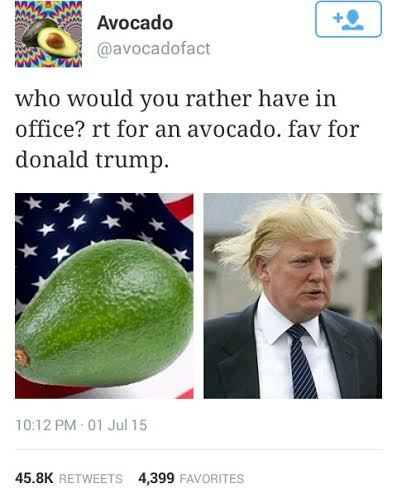 Donald Trump loses to an Avocado