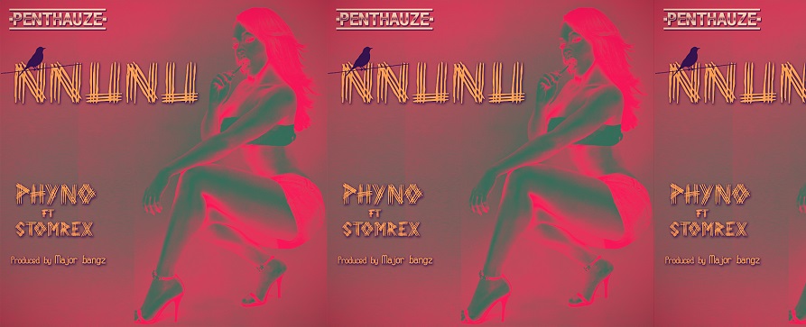 Nnunu - Phyno ft Stormrex