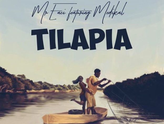 Mr. Eazi  -  'Tilapia' ft. Medikal