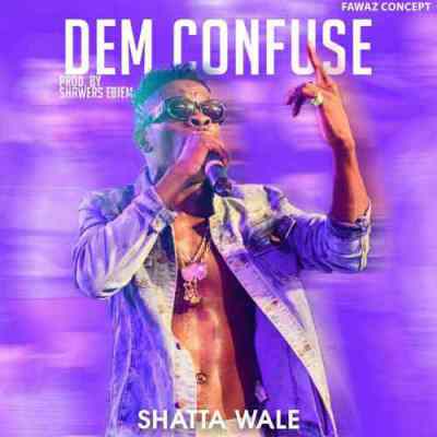 Shatta Wale  -  'Dem Confuse'