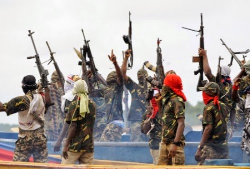 Boko Haram kill many, burn over 500 houses in Adamawa State